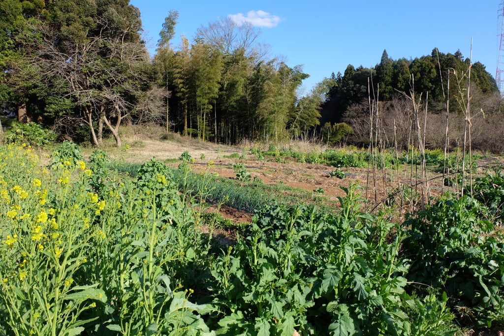 自己を埋めてはならない