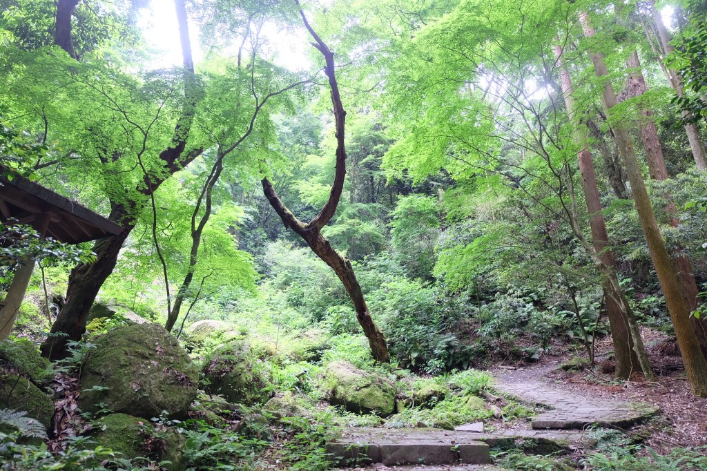 筑波山　薬王院コース