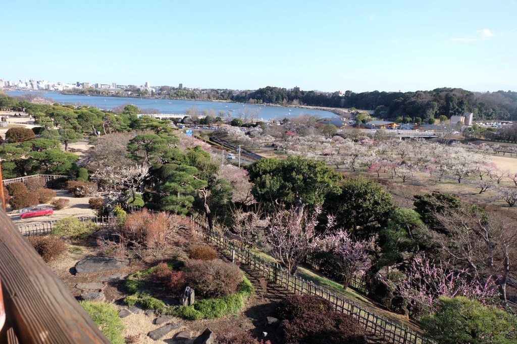 水戸市に引っ越した理由を振り返る